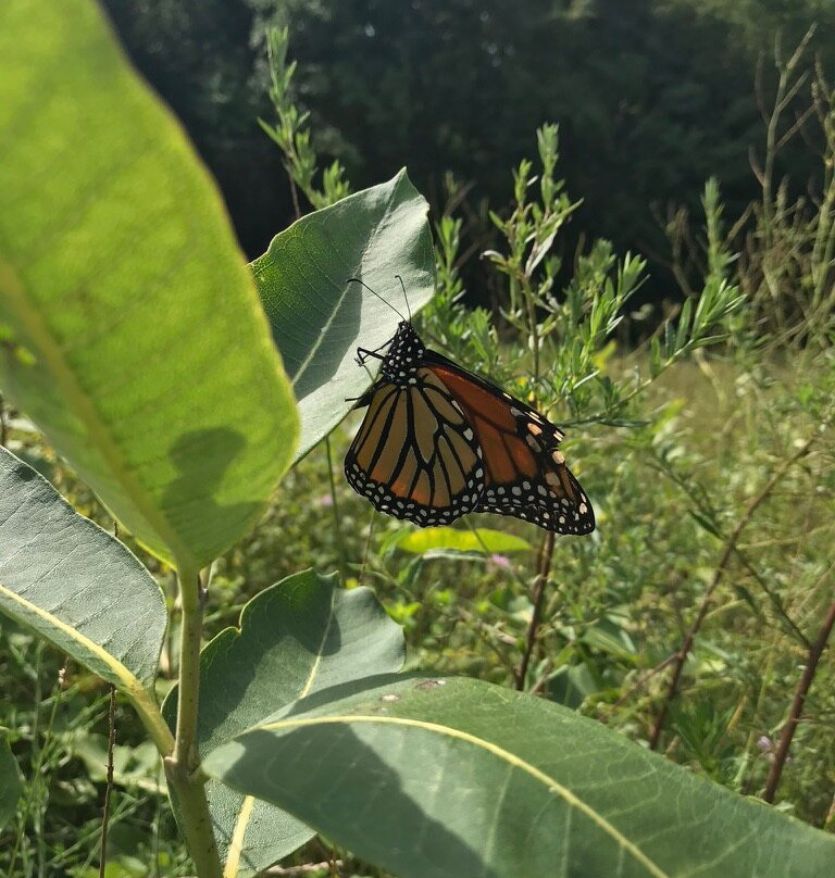 Kittatinny Valley State Park景点图片