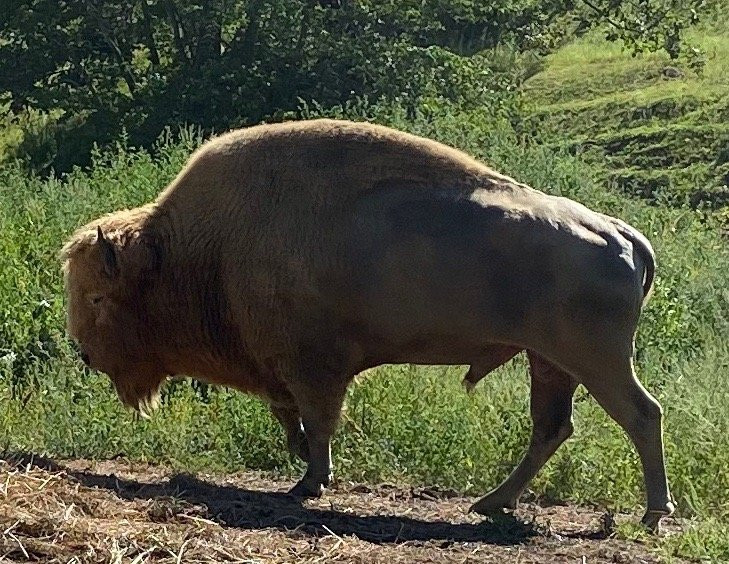 Irvine Park-奇珀瓦福尔斯必去景点