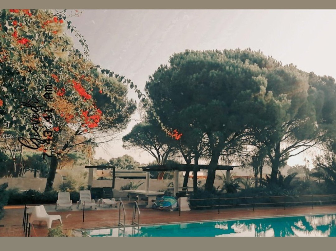 Villa Saracina Bed & Breakfast主图
