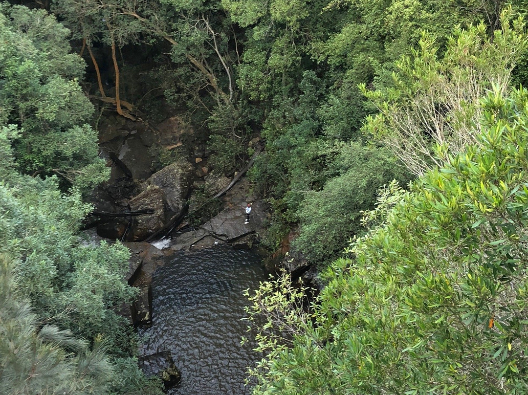 Kellys Falls Track-海伦斯堡必去景点