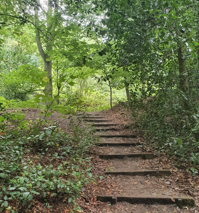 CS Lewis Community Nature Reserve景点图片