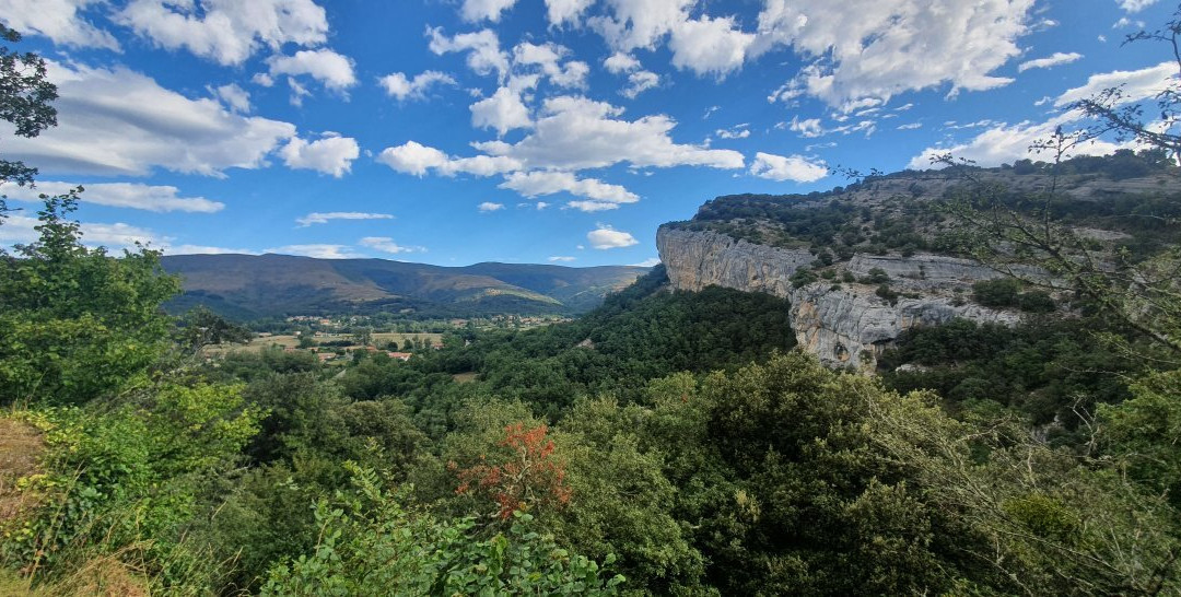 Cueva Palomera景点图片