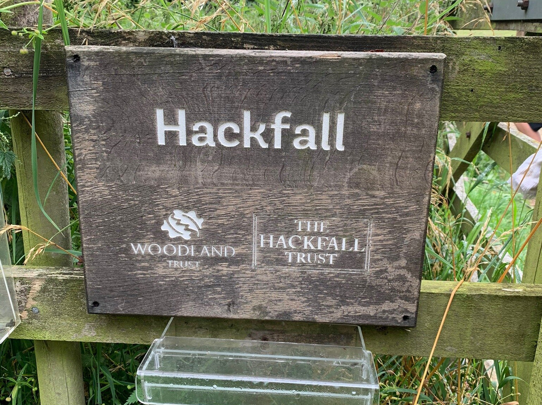 Hackfall Wood景点图片