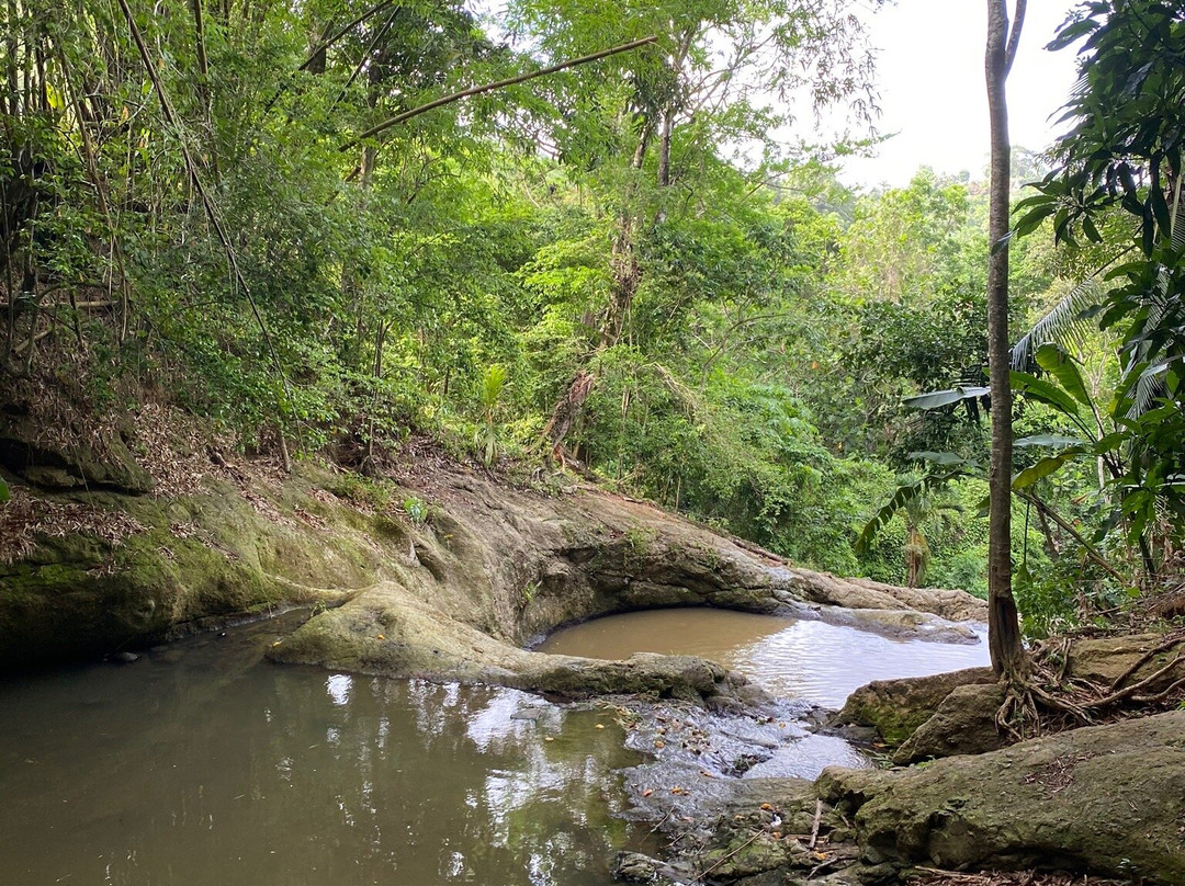 Cascade De Fonds Nicolas景点图片