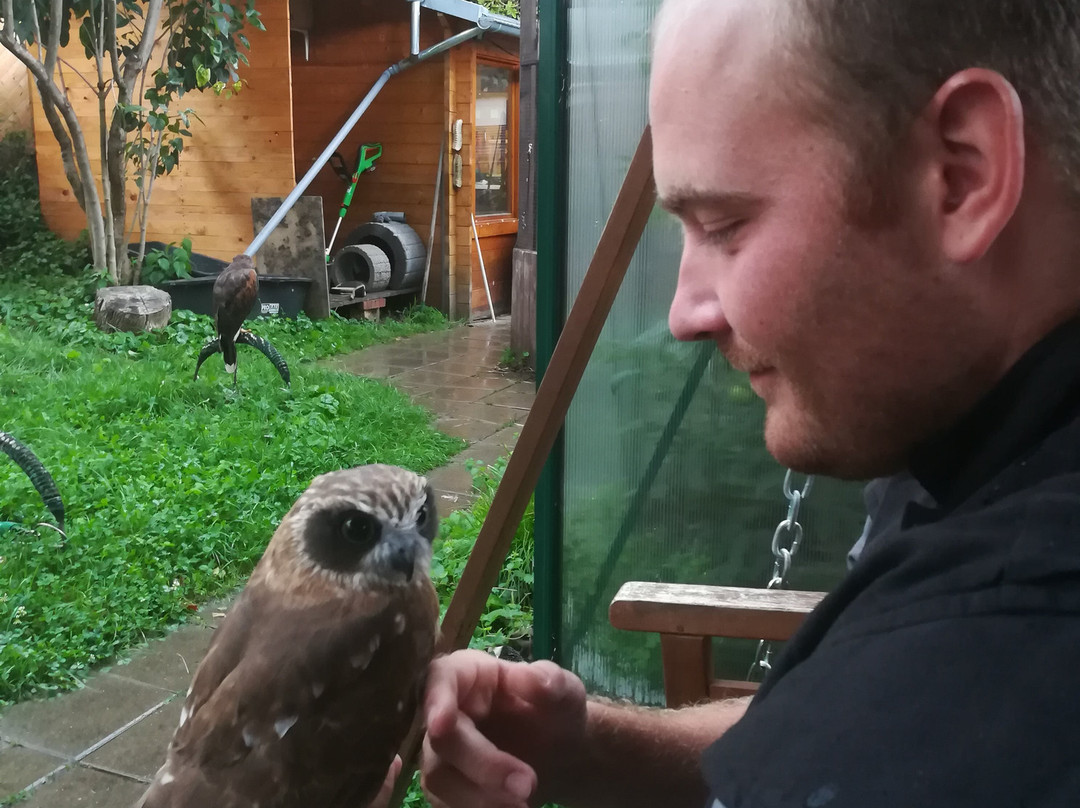 skyhunters in nature -frechen-Frechen必去景点
