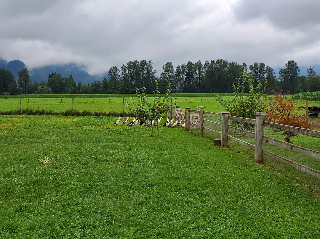 Blackberry Lane Bed and Breakfast主图