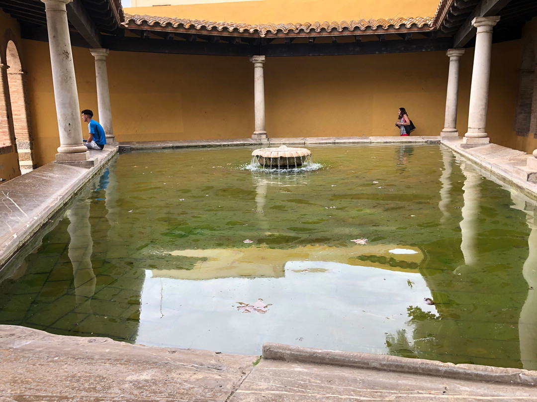 Rentador Public景点图片