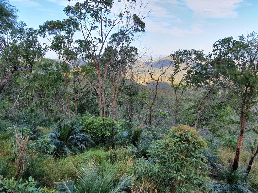 Grasstree Lookout-罗克汉普顿必去景点