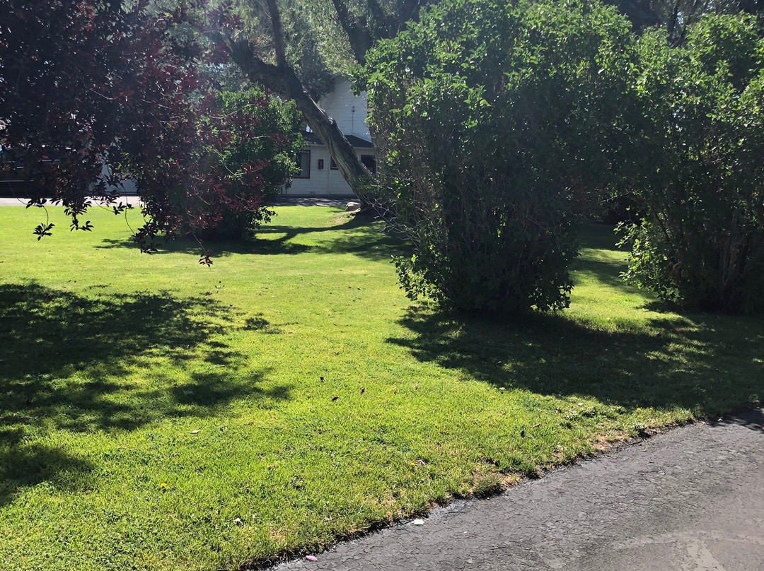 Silver Maple Inn主图