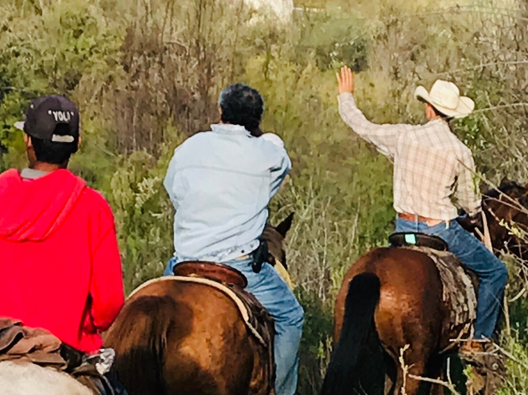 Traditional Horseriding of La Misión-La Mision必去景点