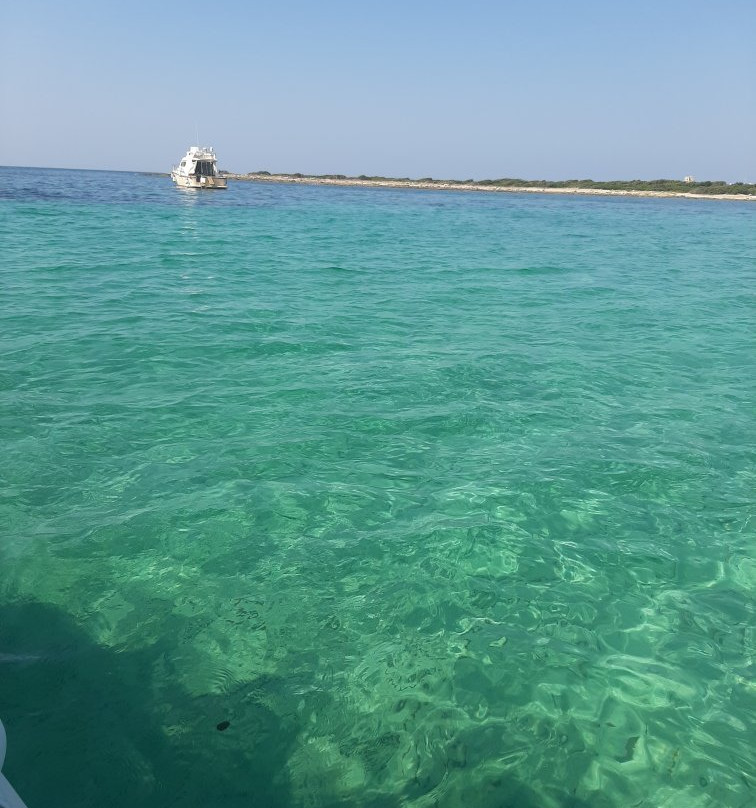 Vie del Mediterraneo - Tour Escursioni e Servizi Turistici nel Salento-切萨雷奥港必去景点