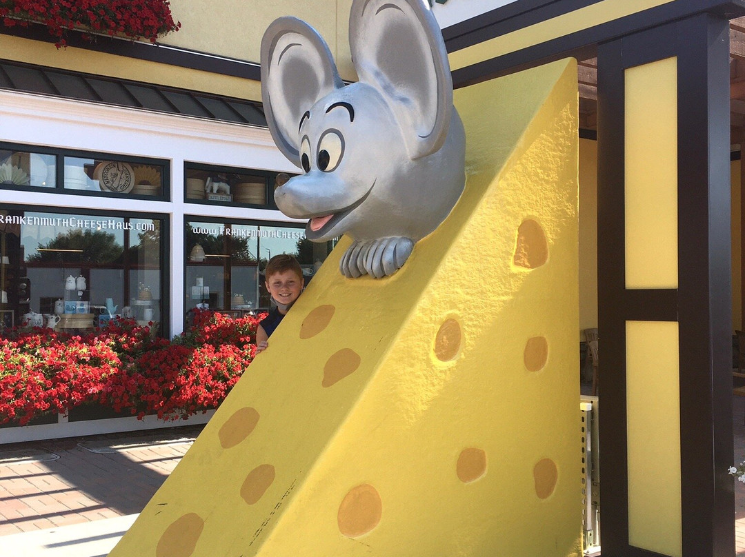 Frankenmuth Cheese Haus-弗兰肯默斯必去景点