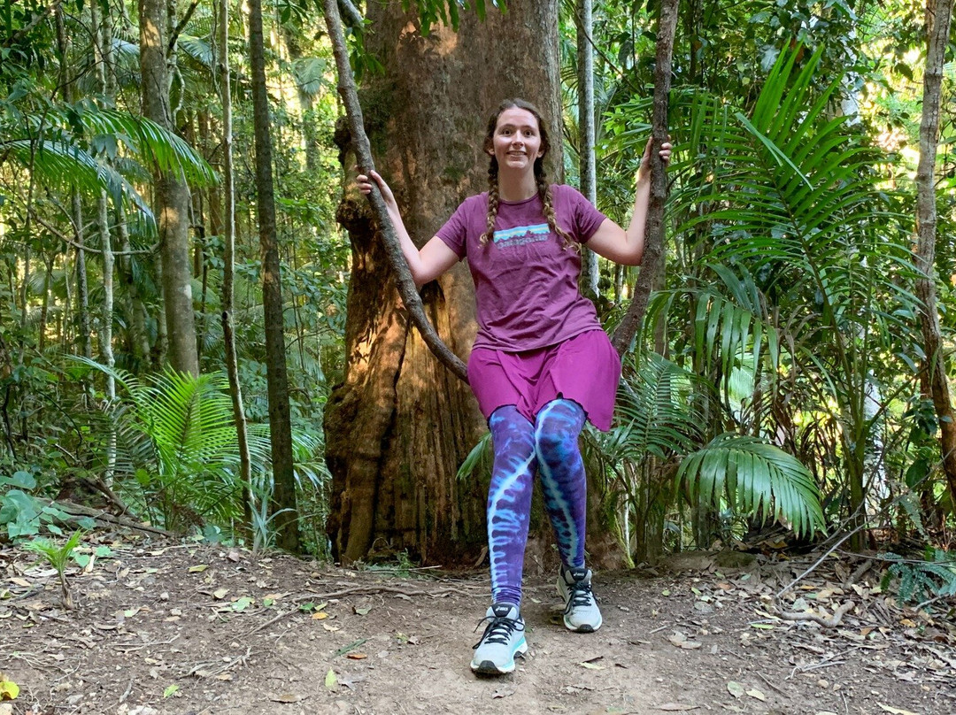 Beyond Byron E Bike Tours - Mullumbimby景点图片