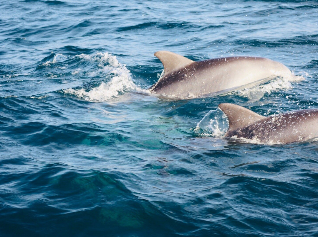 海沙小屋&会议中心主图