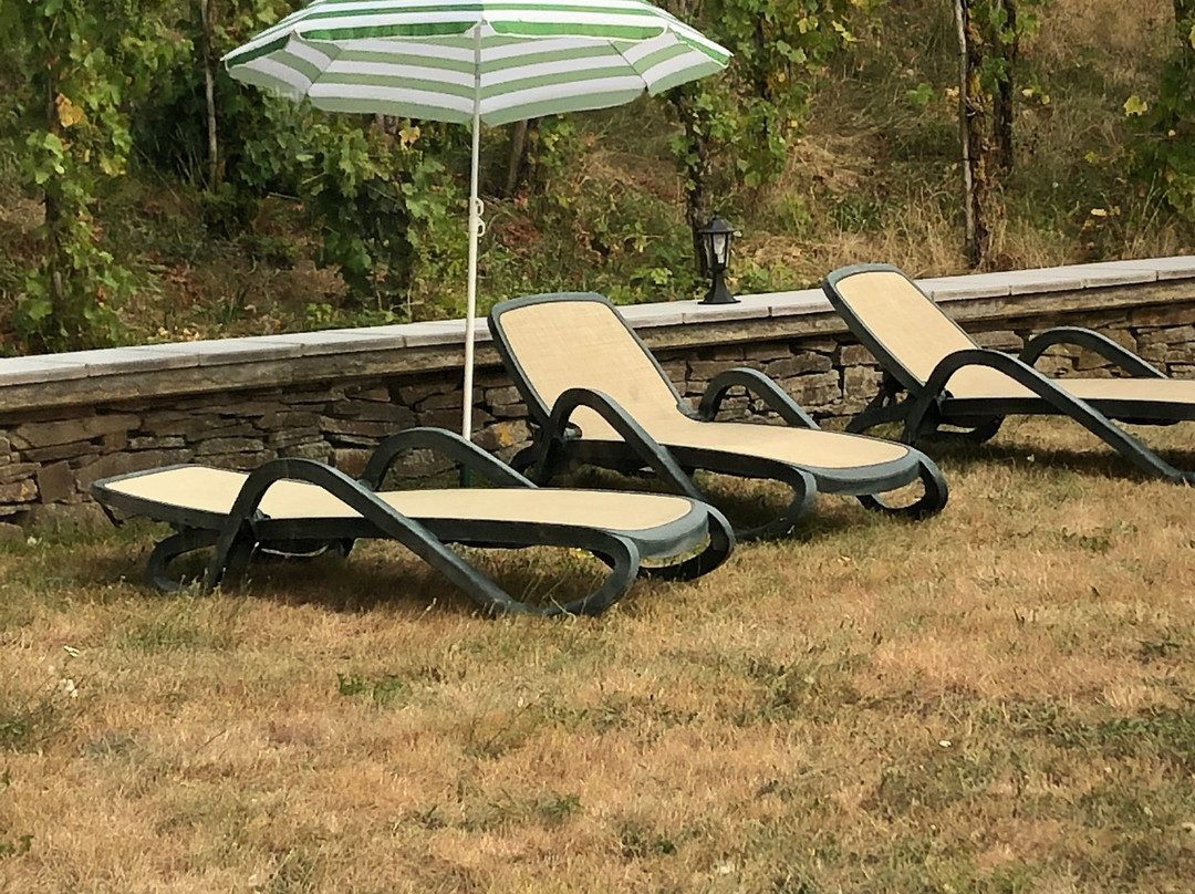 卡斯腾霍兹酒店主图