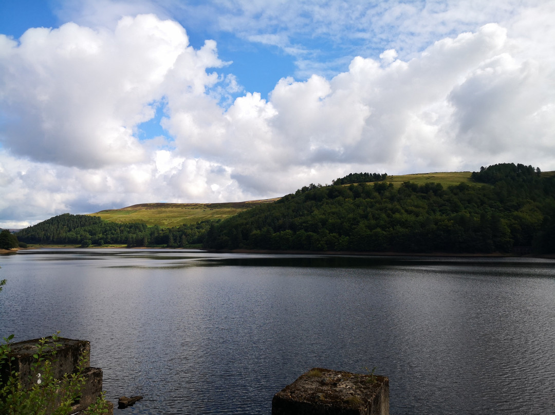 Derwent Visitor Centre景点图片