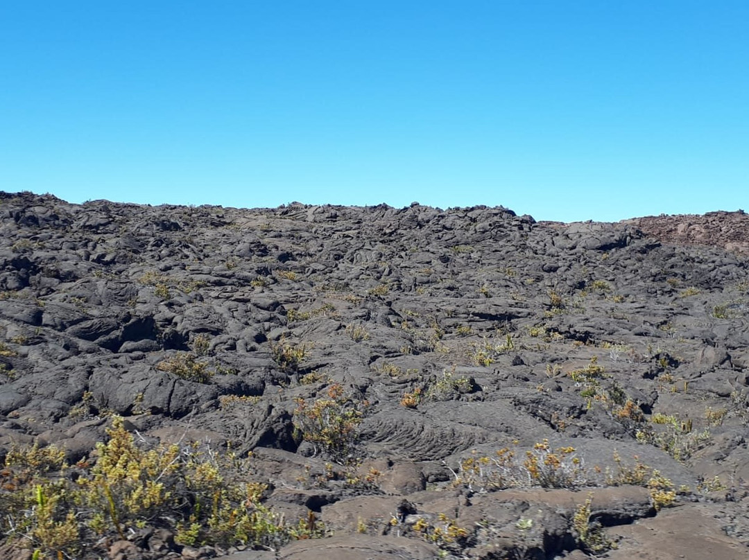 Mauna Loa Scenic Drive景点图片
