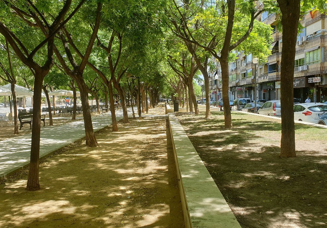 Plaza de la Vina景点图片
