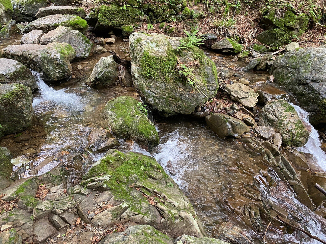 Rock Garden-青梅市必去景点