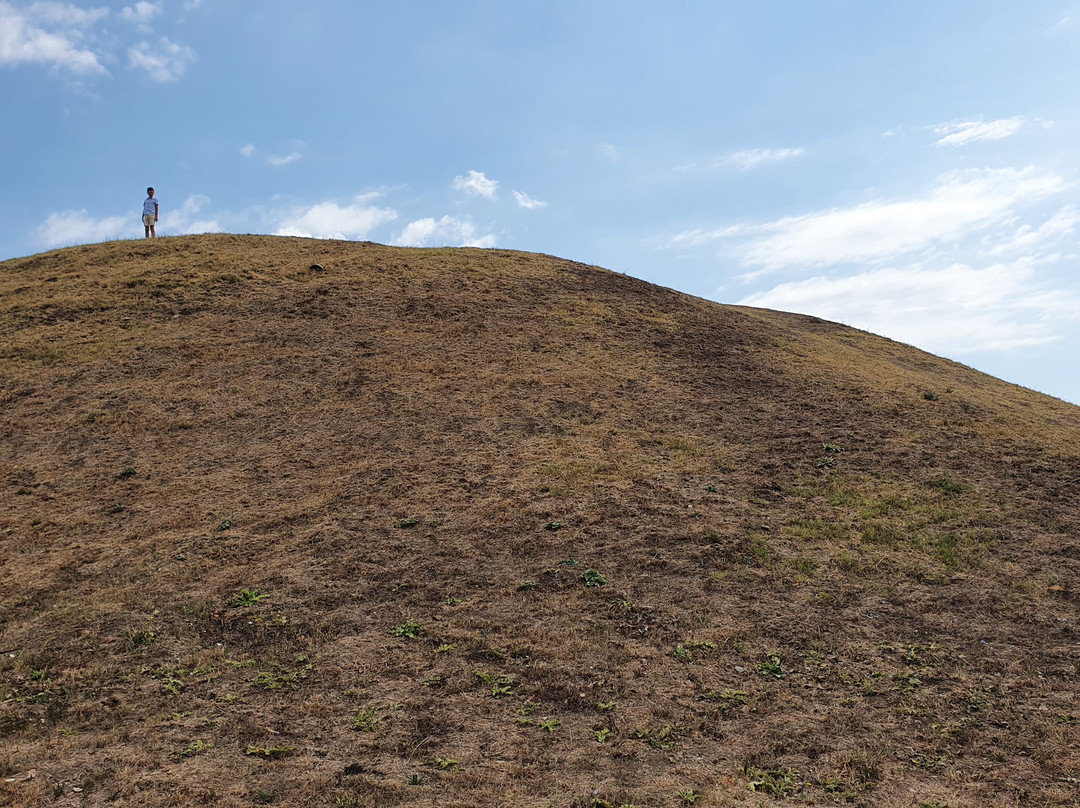 Thracian Necropolis Pomorie景点图片