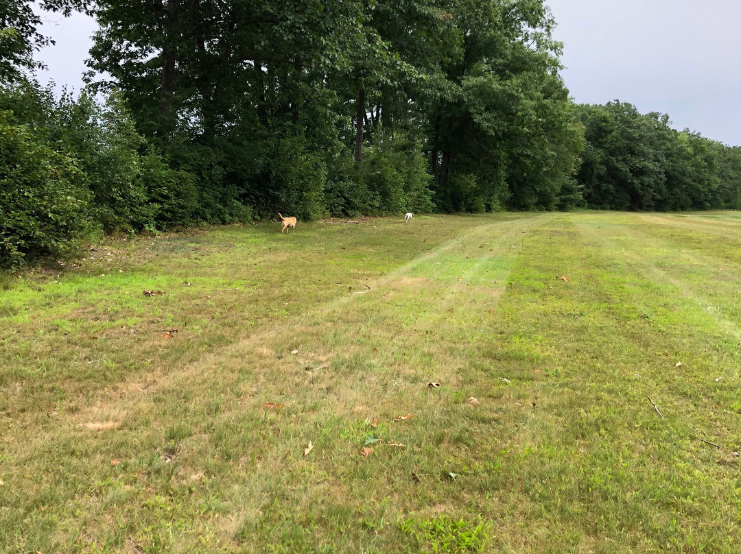 The Old Saco Inn主图