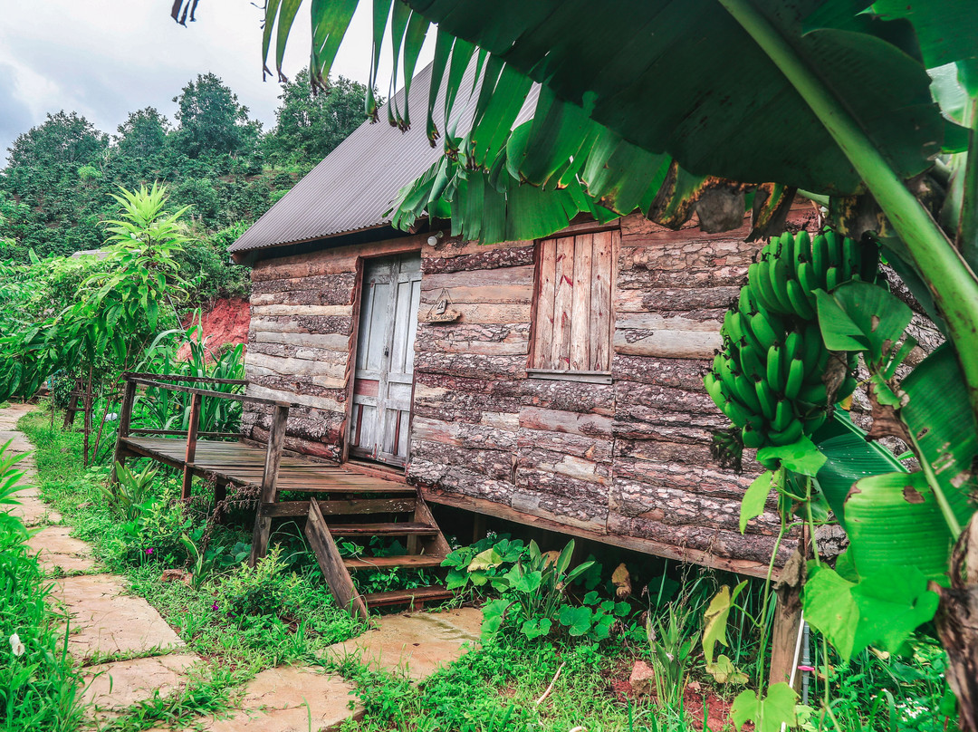 Chappi Mountains Homestay Bungalows & Coffee Resting Station主图