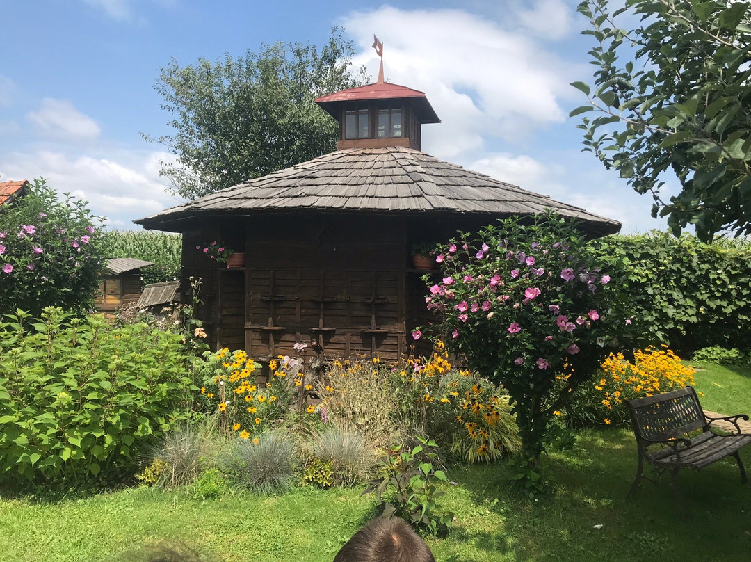 Krapje Bee - keeping Museum-Ljutomer必去景点