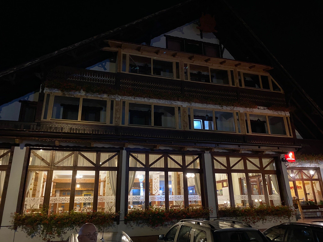 Pensiunea Koronka主图