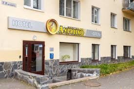 Aurinko Hotel主图