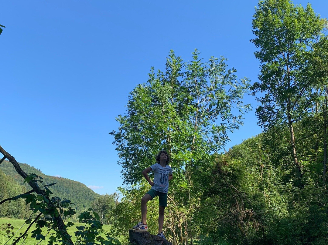 Wasserfallsteig景点图片