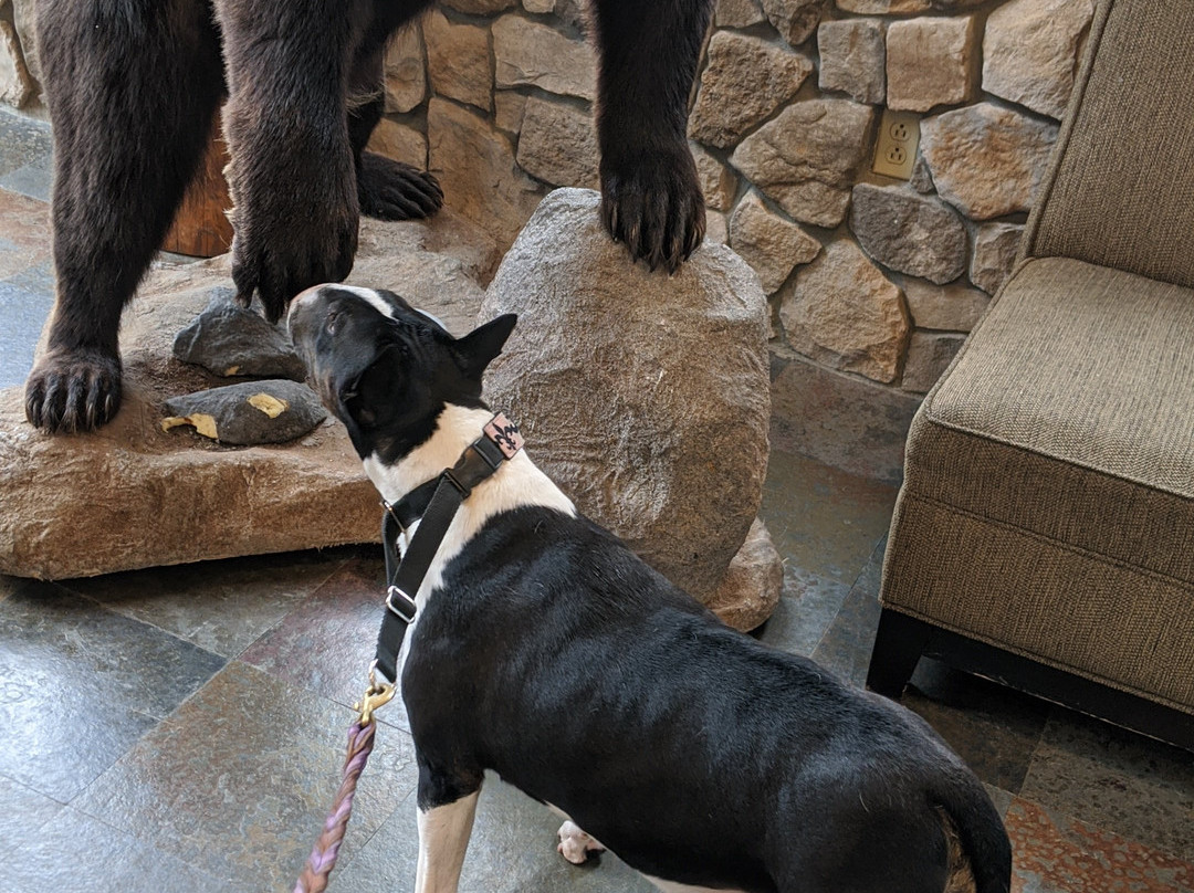 微风汽车旅馆主图