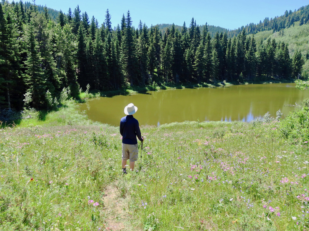 Beauvais Lake Provincial Park-平雀溪镇必去景点