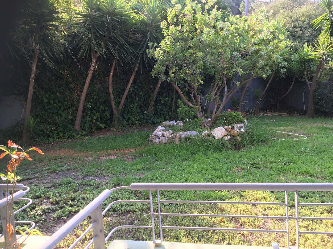 拉佩西尼艺术酒店主图