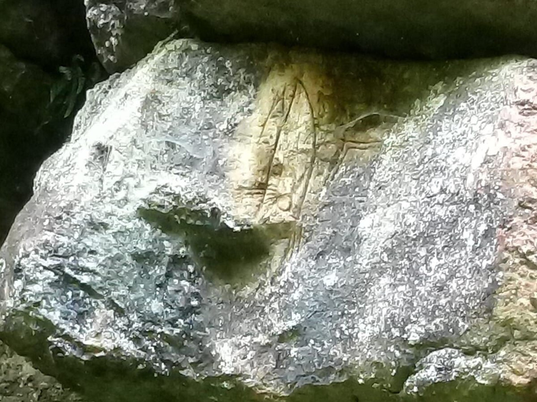 Graffiti della Val d'Assa景点图片
