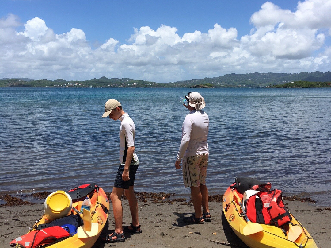 Madinina Kayaks景点图片