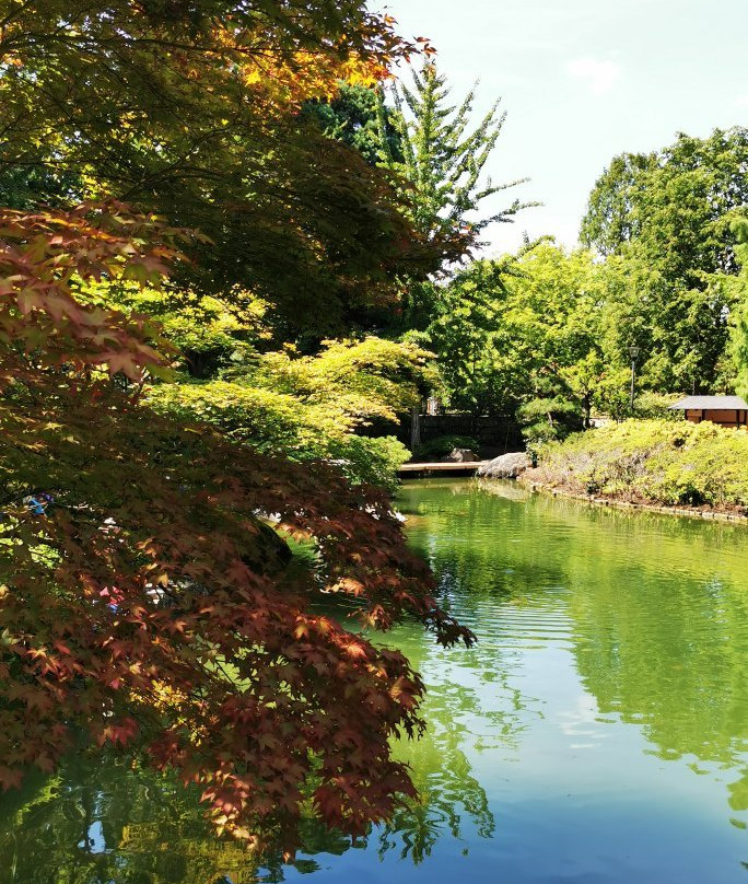 Rheinaue-波恩必去景点