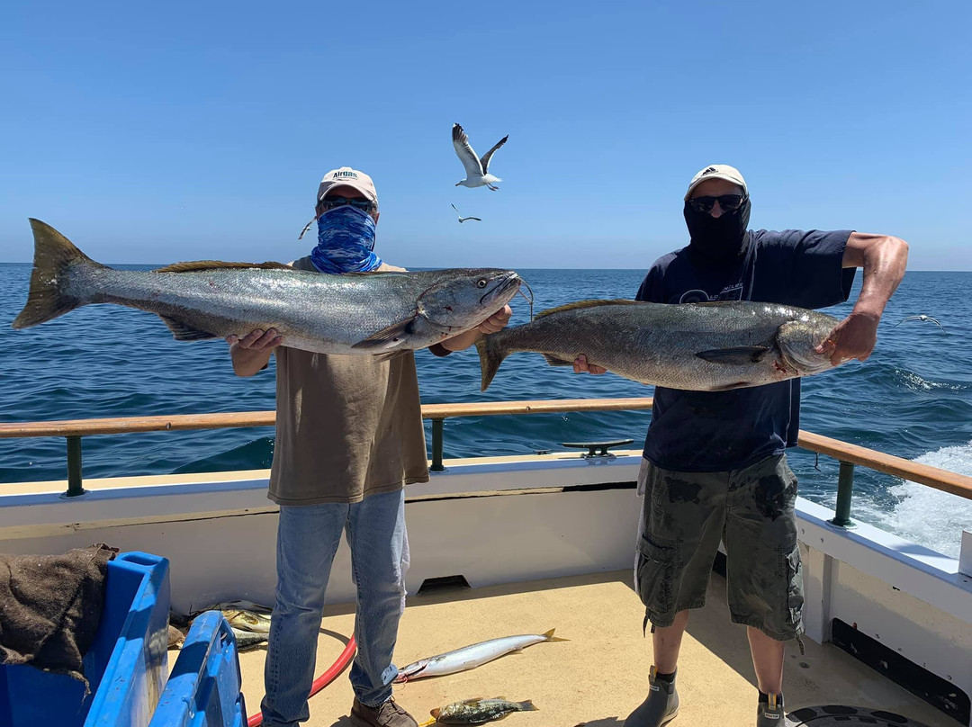 Channel Islands Sportfishing-奥克斯纳德必去景点