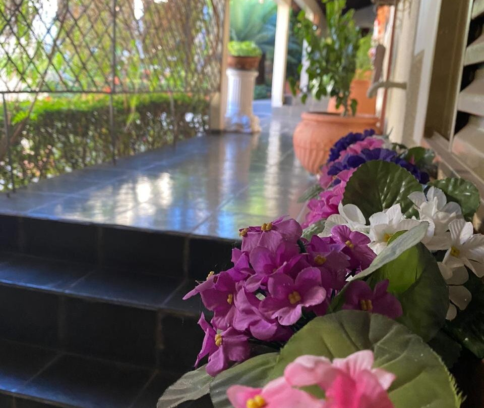 Pousada Tropical主图