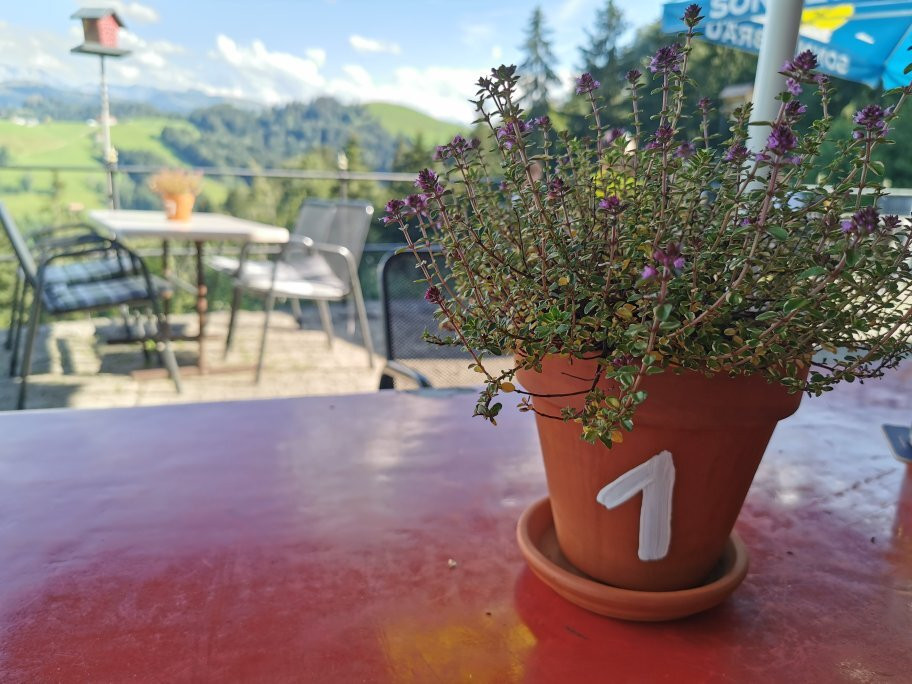 Berggasthaus Fuchsacker主图