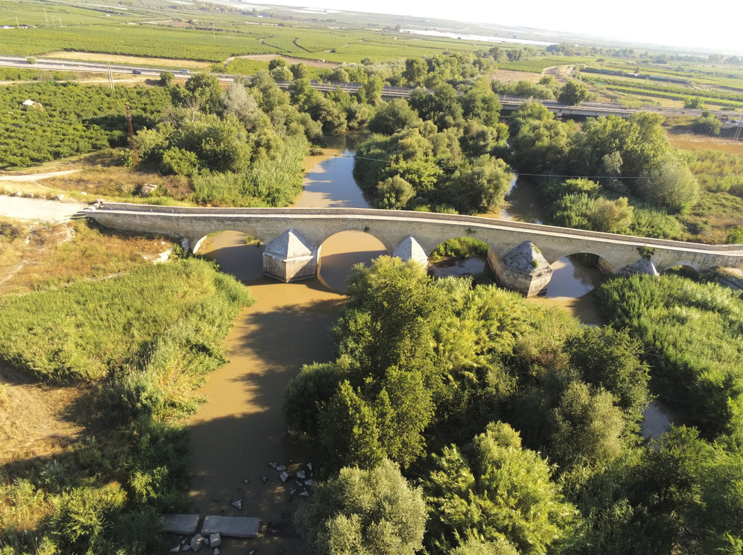Ponte Romano sul Fiume Ofanto景点图片