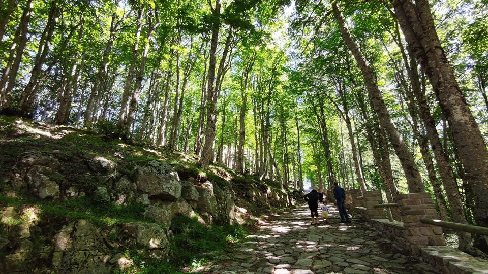 Santuario della Madonna del Monte Sacro di Novi Velia景点图片