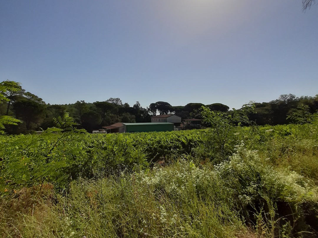 Château d'Astros-Vidauban必去景点