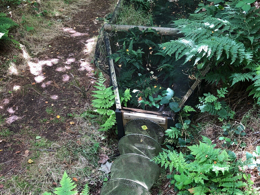 Sonderho Gl. Fuglekoje-法诺必去景点