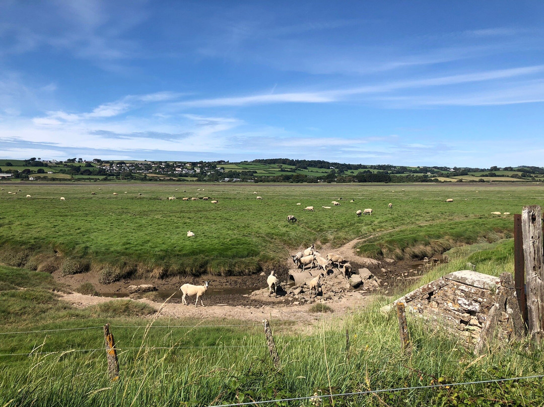 Tarka Trail (Braunton to Meeth)景点图片