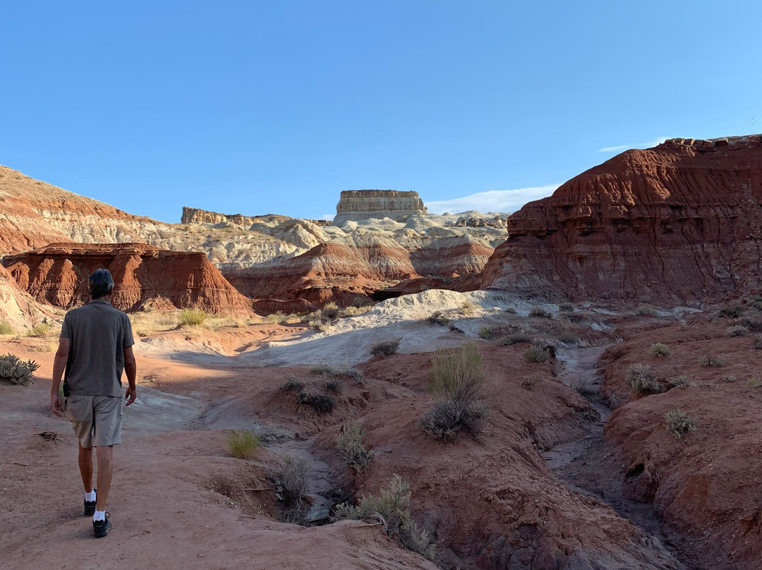 The Toadstools-比格沃特必去景点
