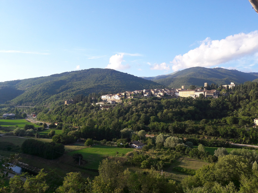 B&B Il Picchio Verde