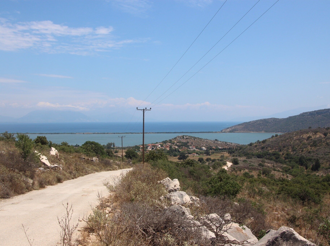 Viotopos Dasous Strofilias-Kalogria必去景点