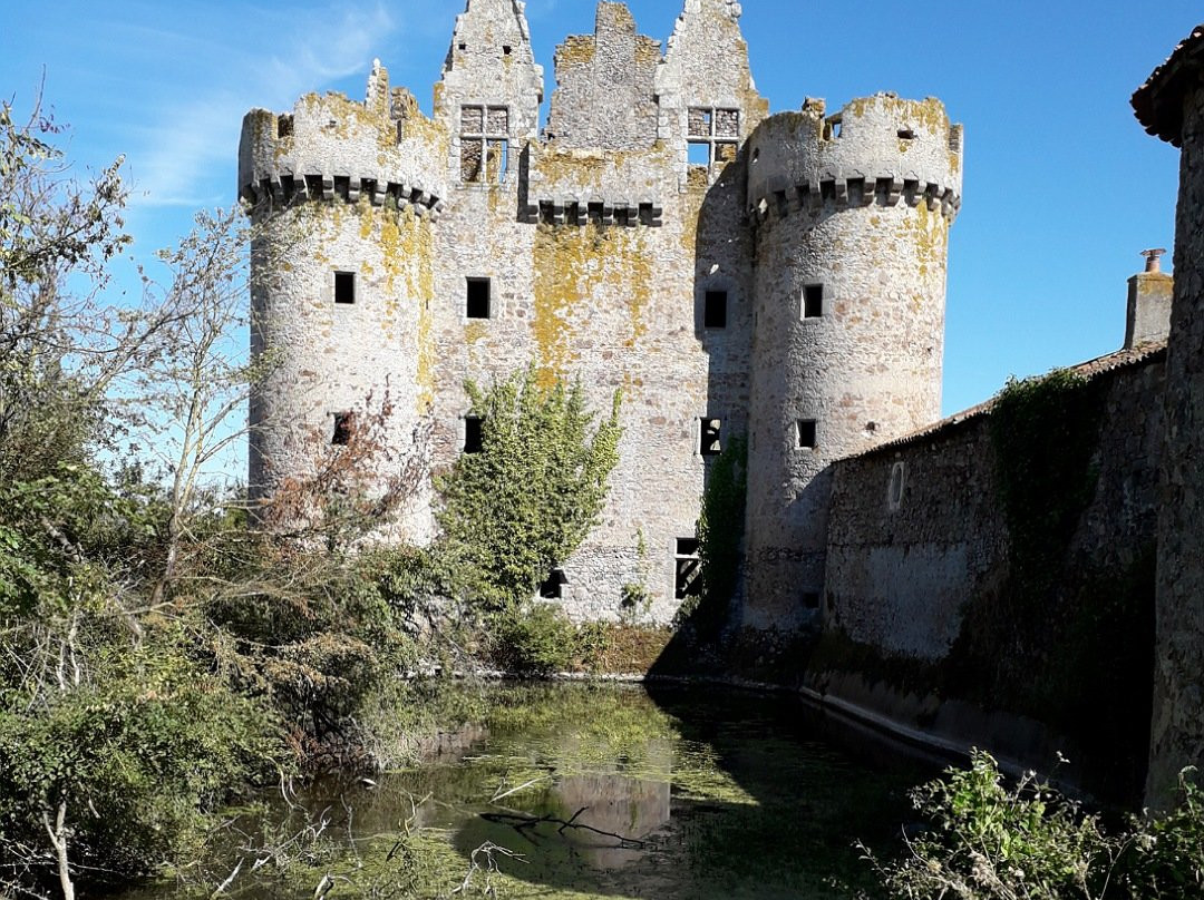 Chateau fort de l'Ebaupinay景点图片
