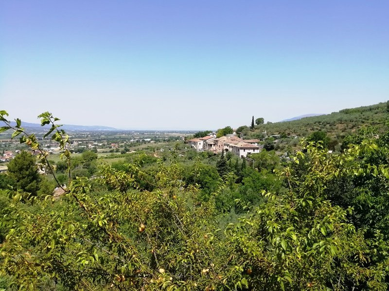 SetterHouse AgriHotel主图