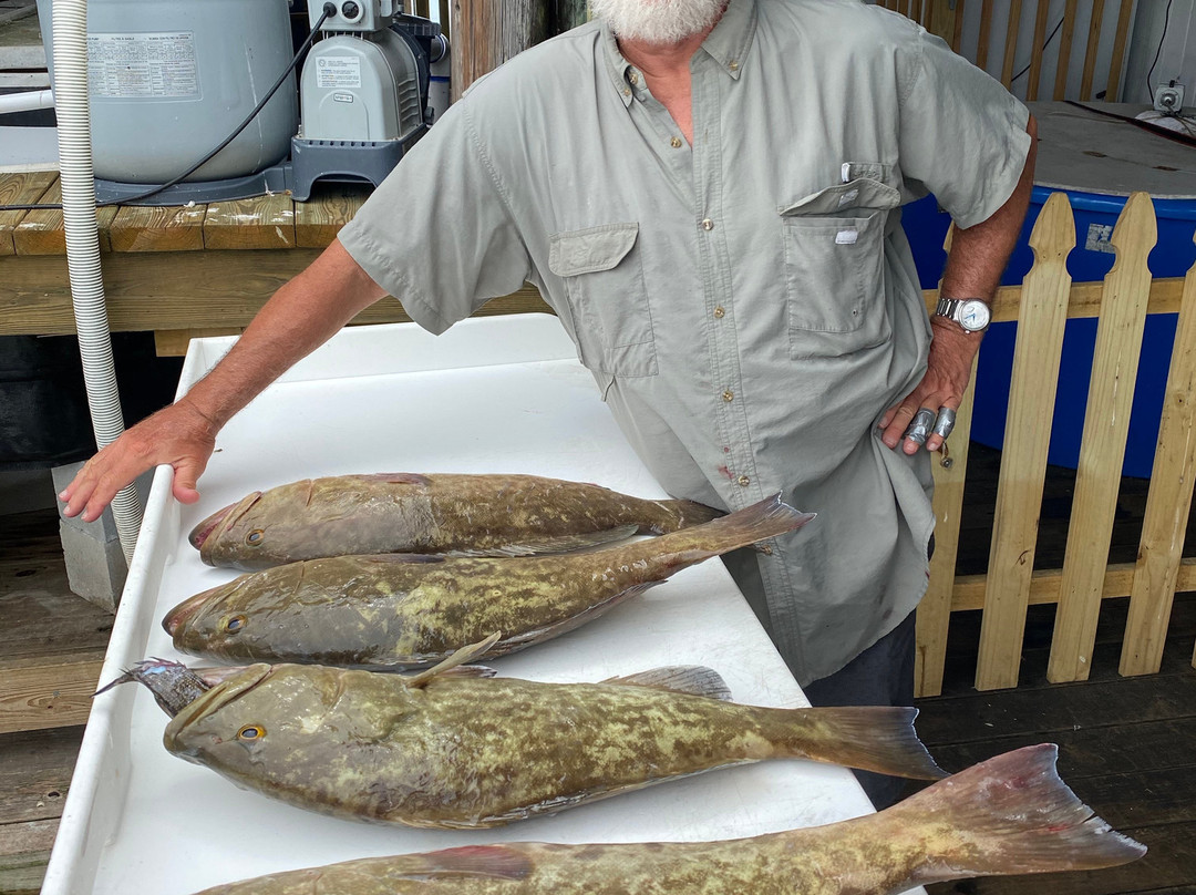 Florida Fishing Adventures-克里斯特尔里弗必去景点